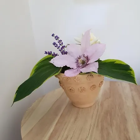 Momente Waldbreitbach