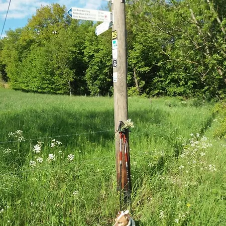 Momente شقة Waldbreitbach