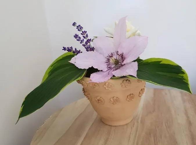 Momente Waldbreitbach