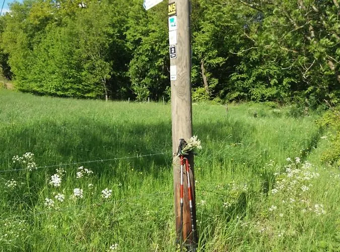 Momente דירה Waldbreitbach